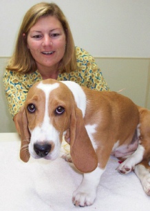 Photo of Chris Balducci, Owner